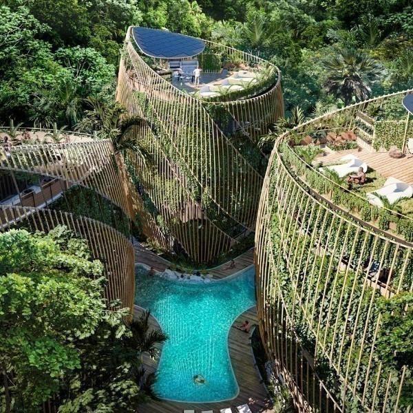 Miguelina Mejia | Living the Noom